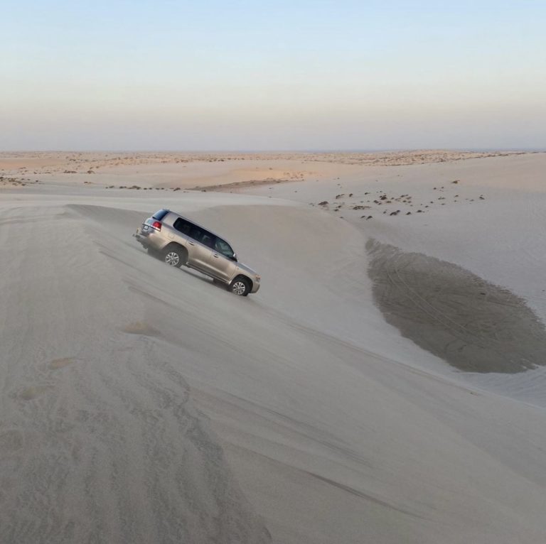Finding The Best Doha Desert Safari
